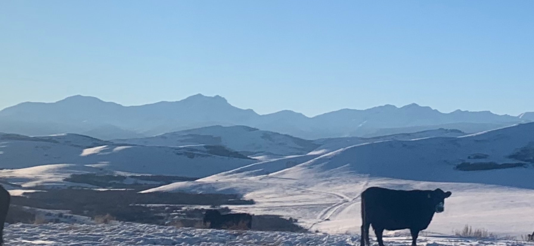 Alberta agricultural landscape